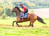 AK021025-58 - Believitanducan